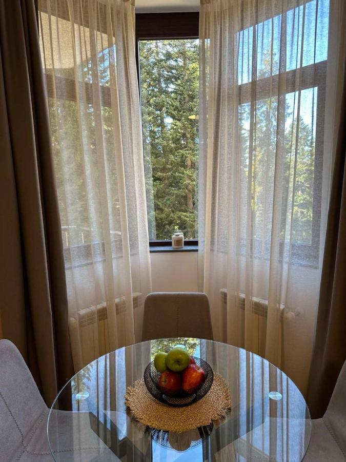 Sana Ski Apartment 313A In Flora, Borovets Eksteriør billede